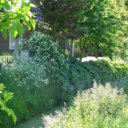 Bed and Breakfast De Wylgepleats Jutrijp Zewnętrze zdjęcie
