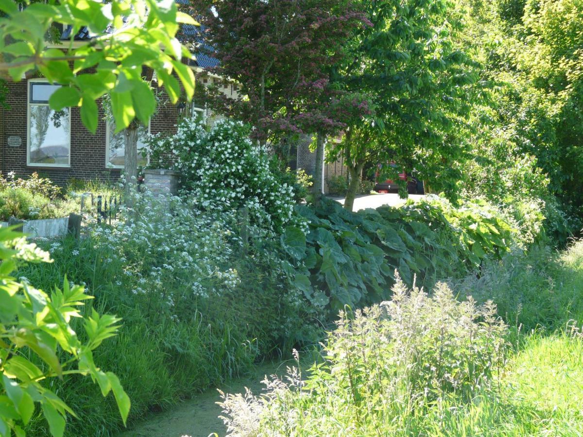 Bed and Breakfast De Wylgepleats Jutrijp Zewnętrze zdjęcie